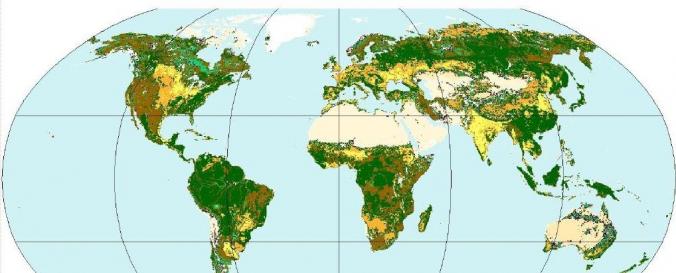 Land Cover Map (GLC-SHARE, FAO)