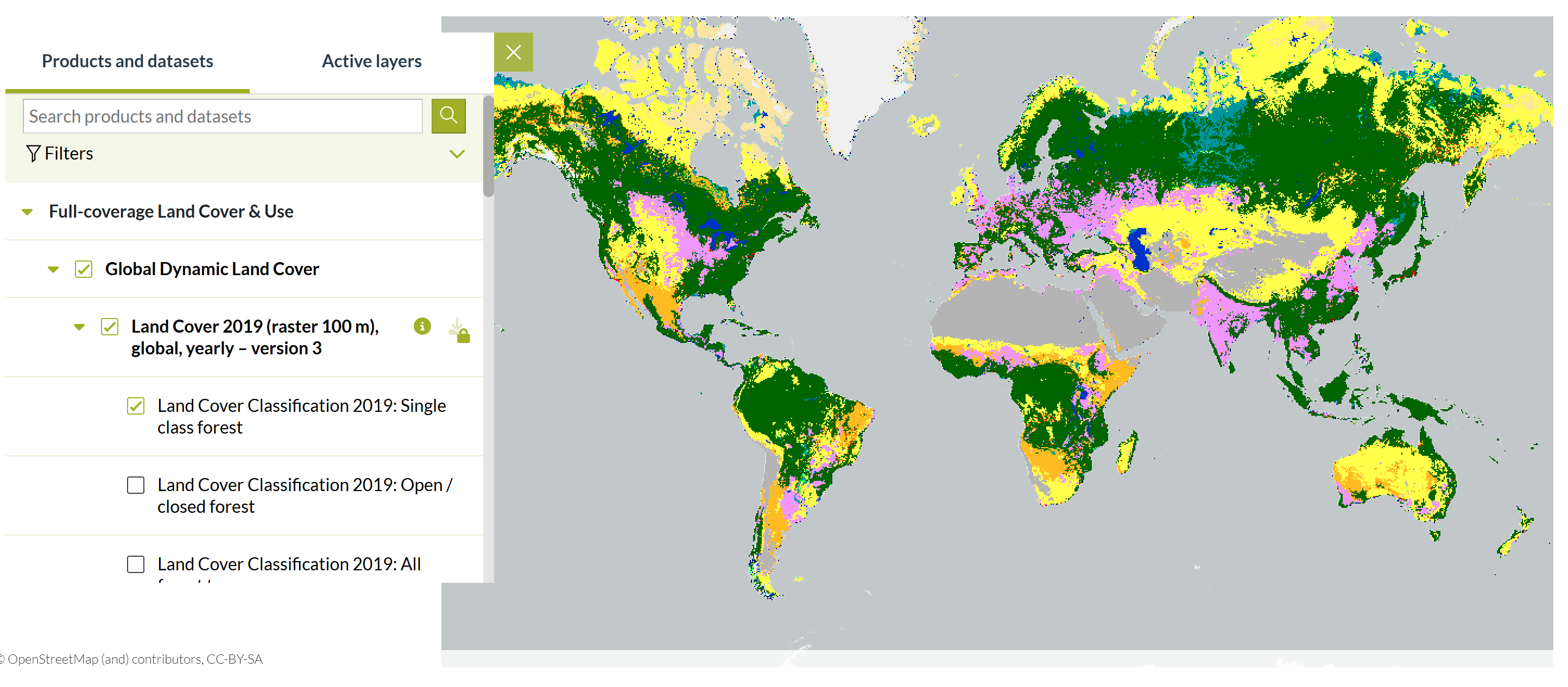2019 Land Cover